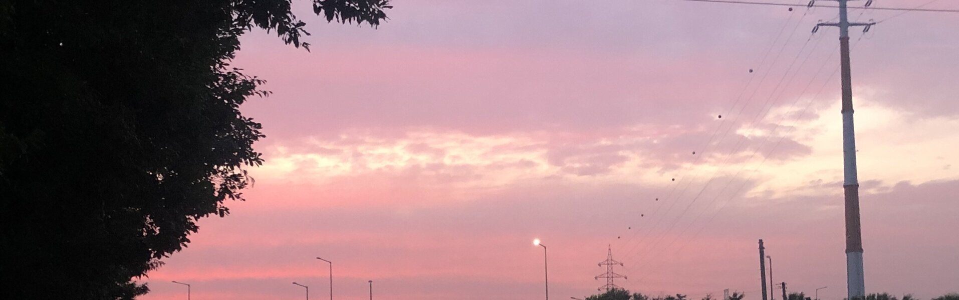 I.Pikan Kunst te koop