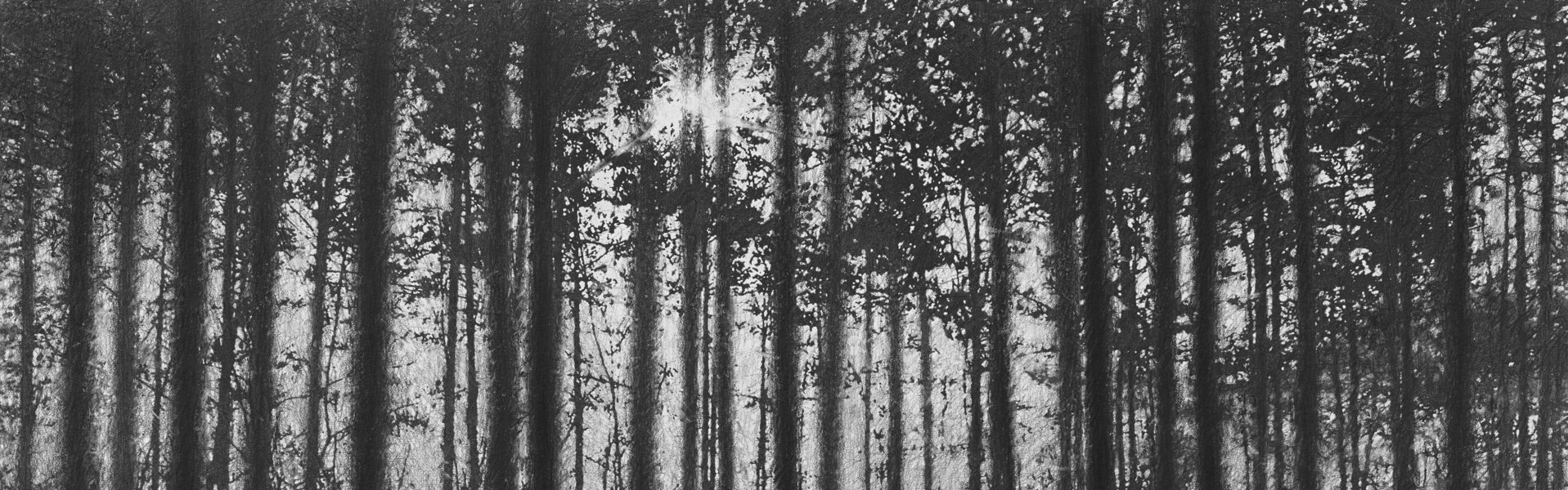 Danja Akulin Œuvres d'art à vendre