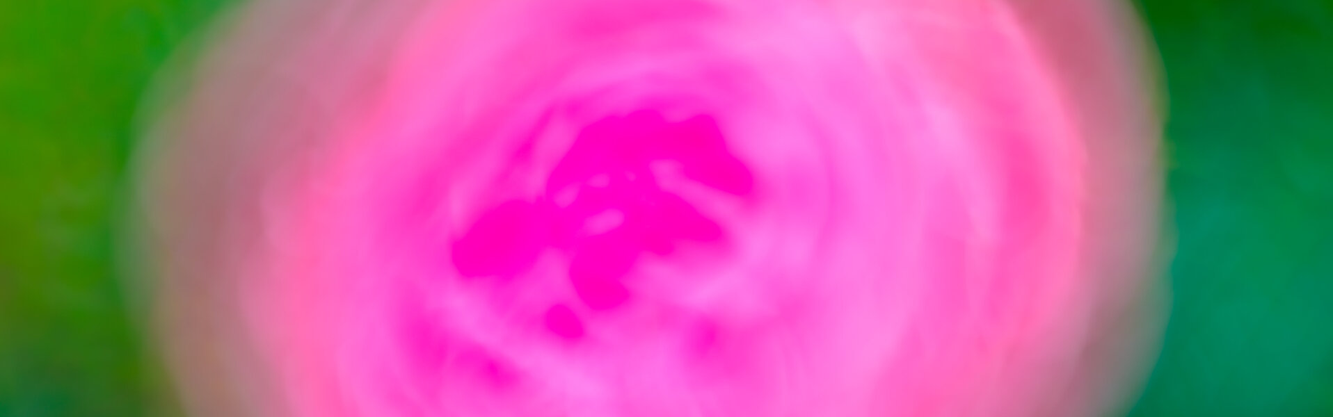 DONA KEA Kunst kaufen