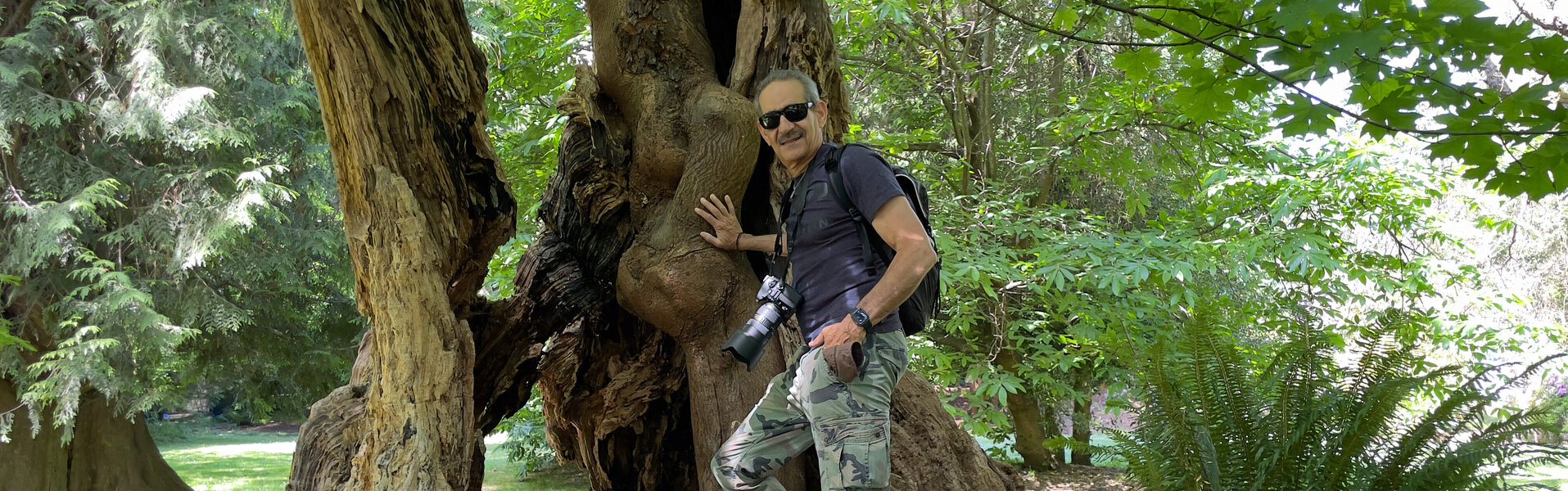 Motty Levy Opere d'arte in vendita