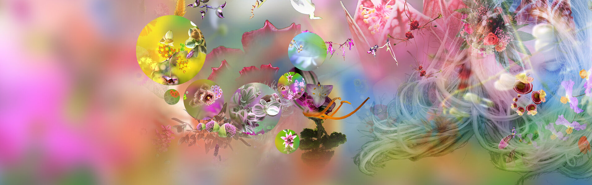 Eric Koninckx Kunst kaufen