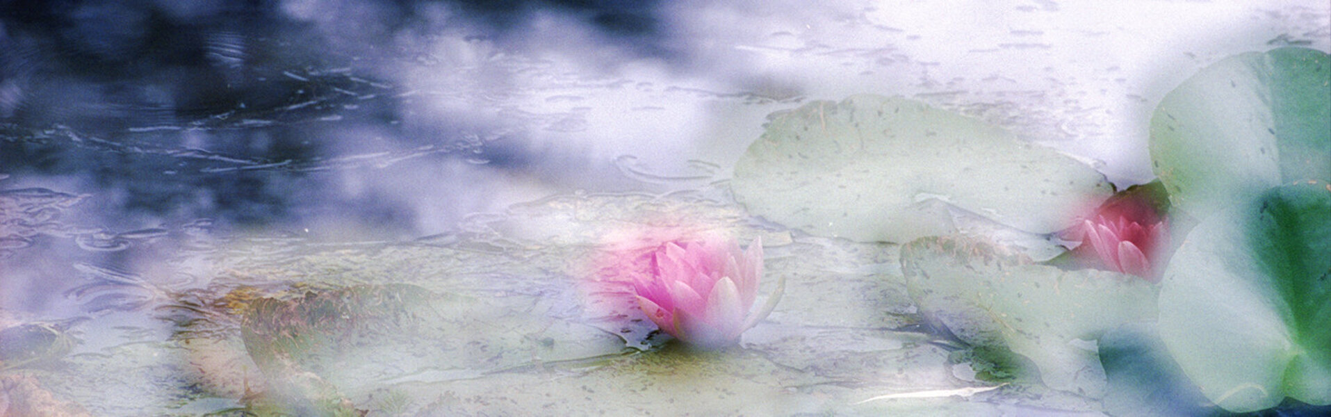 Dubi Roman Kunst kaufen