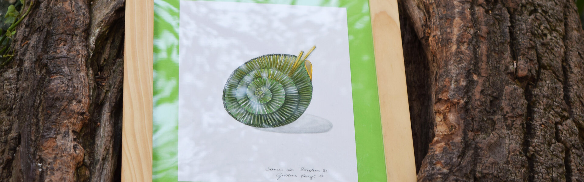 Gudrun KARGL Kunst kaufen