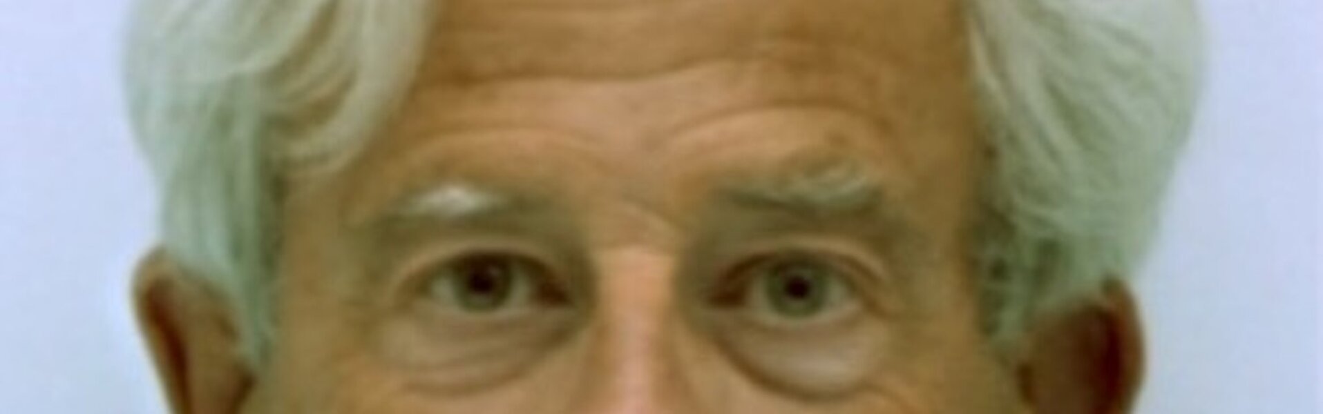 gilles Arnould Kunst te koop