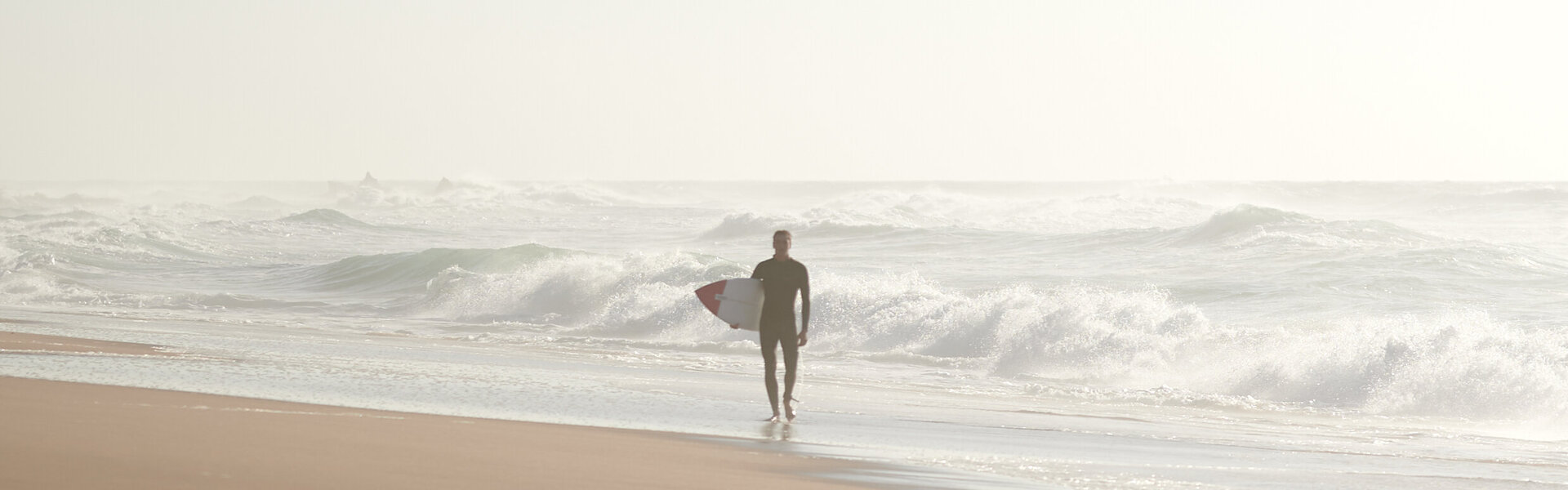 Pedro Patrício Kunst te koop