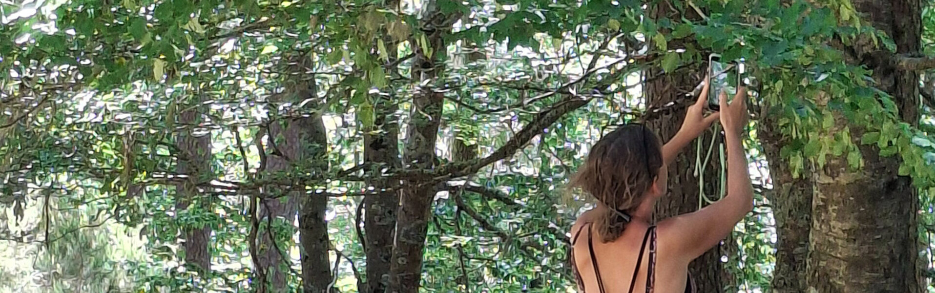 Anna Sieradzka Kunst kaufen