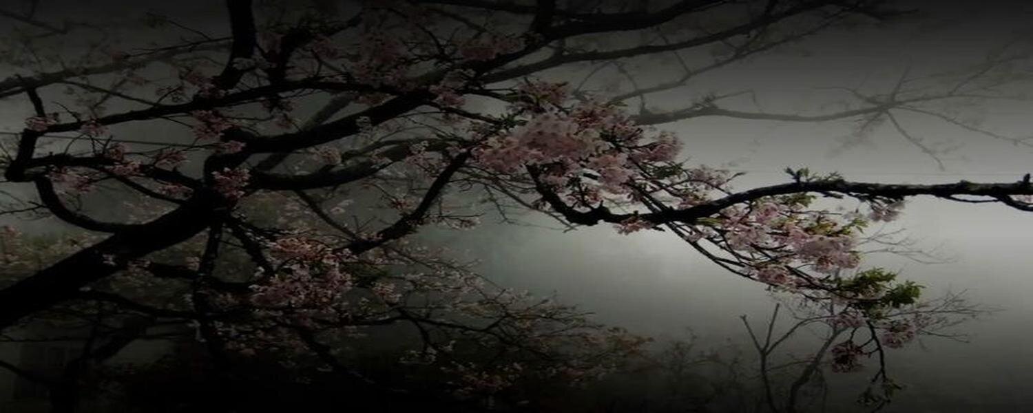 Natalie Maior Opere d'arte in vendita