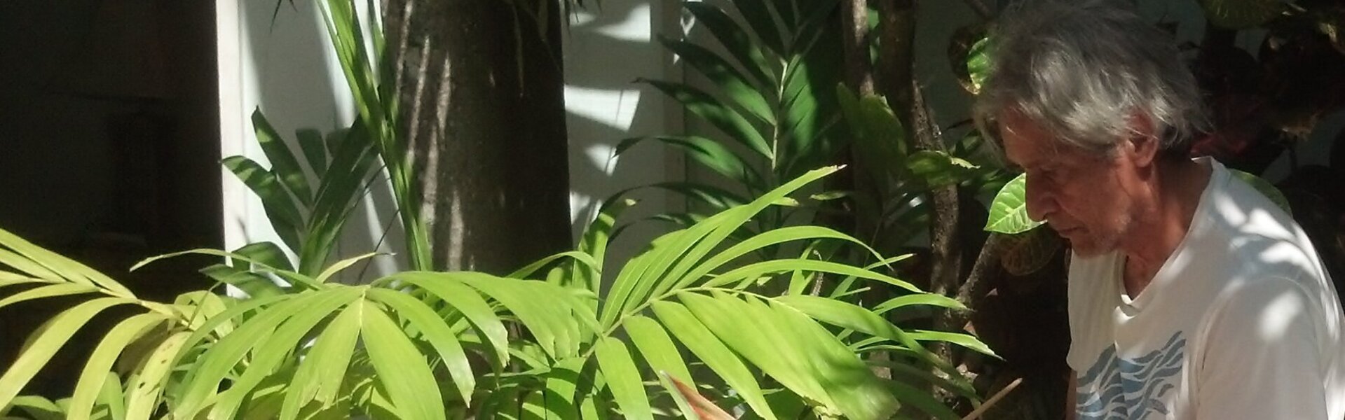 Leon Sarantos Art for Sale