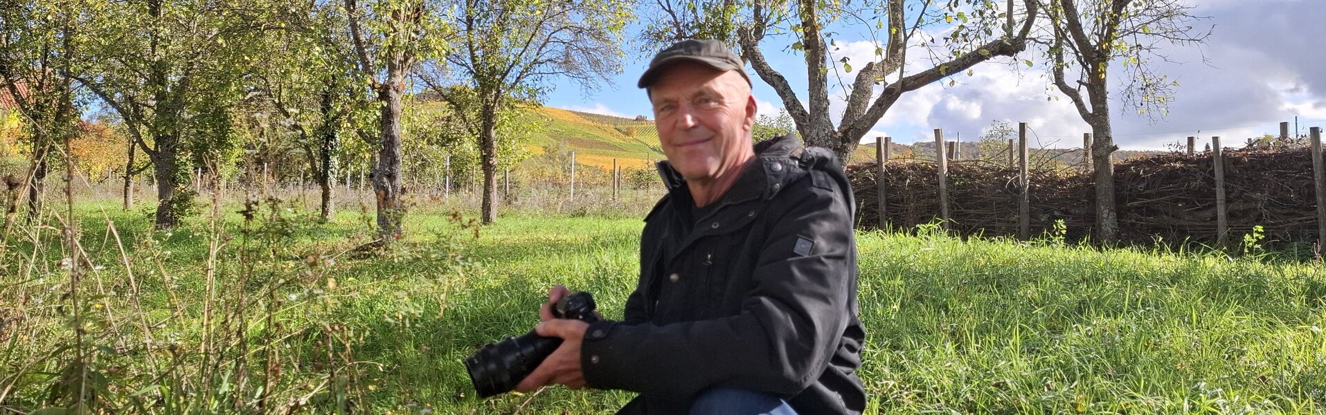 Norbert Stein Opere d'arte in vendita