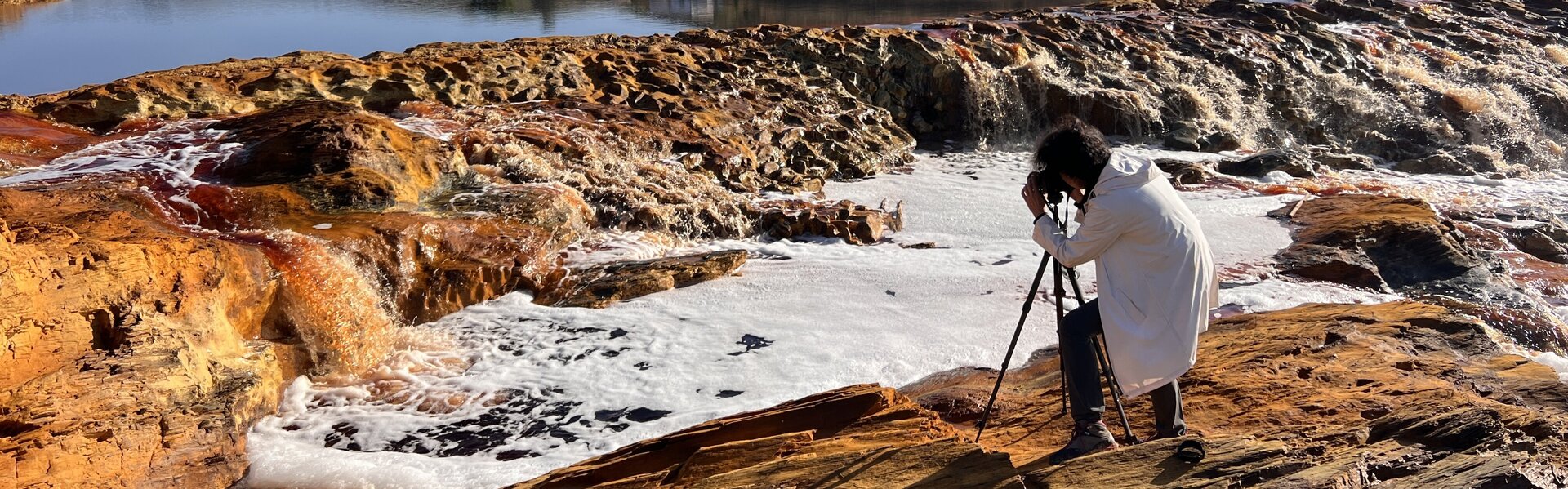 Carine Doutrelepont Opere d'arte in vendita