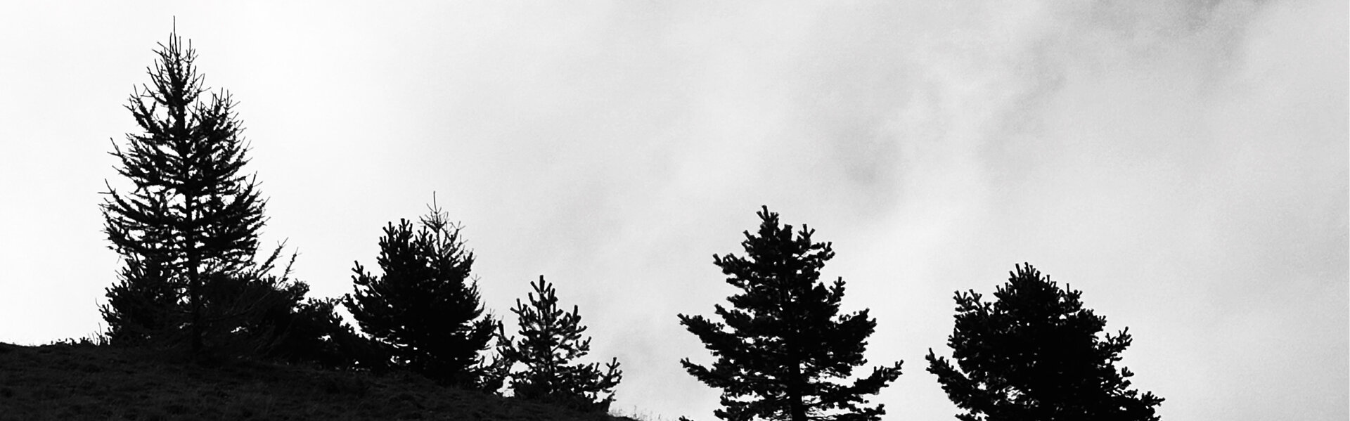 xavier Duport Opere d'arte in vendita