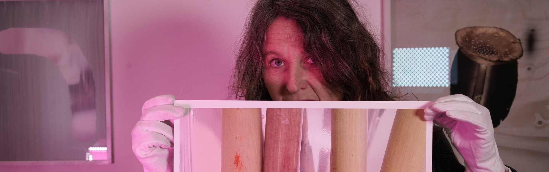Catherina Ziessler Kunst kaufen