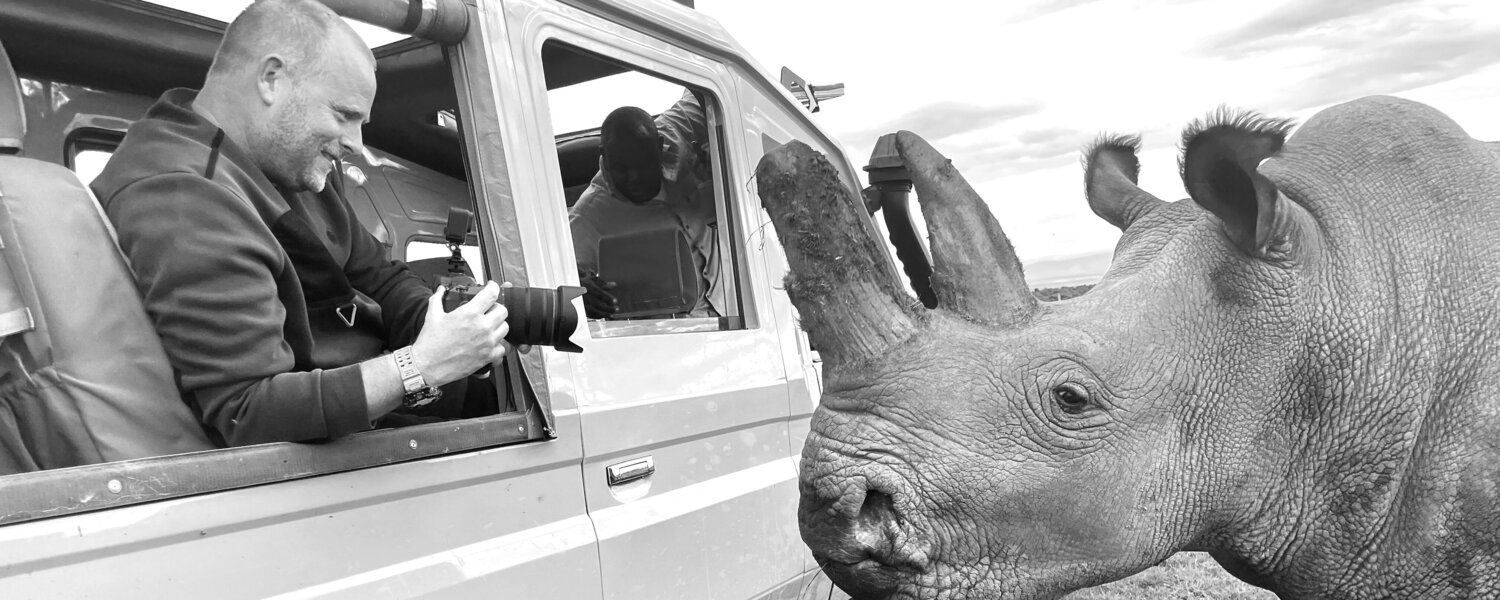 Johan Siggesson Arte en venta