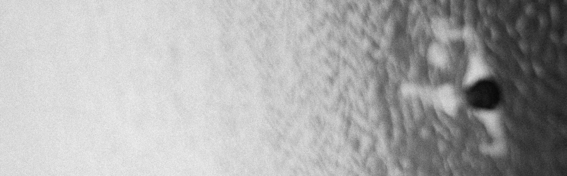 Sébastien Printant Kunst kaufen