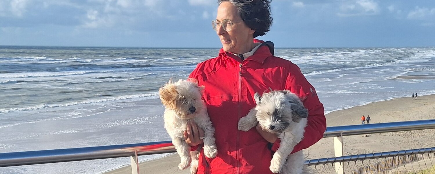 Nouchka Lachaud Kunst te koop