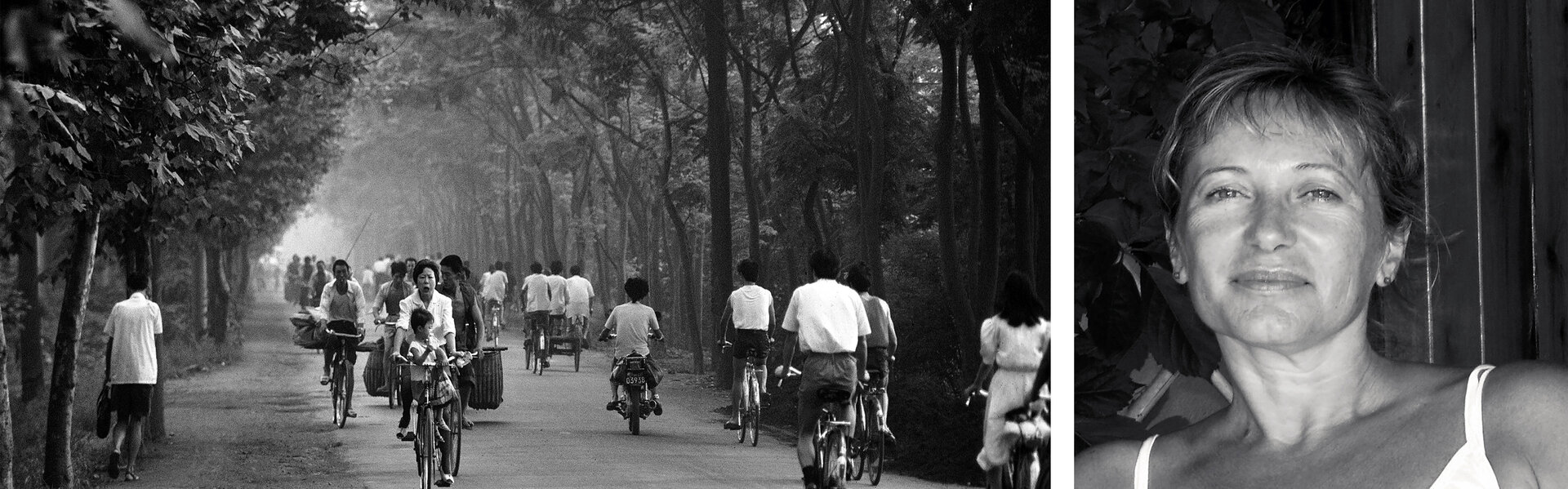 Sonia Costa Art for Sale