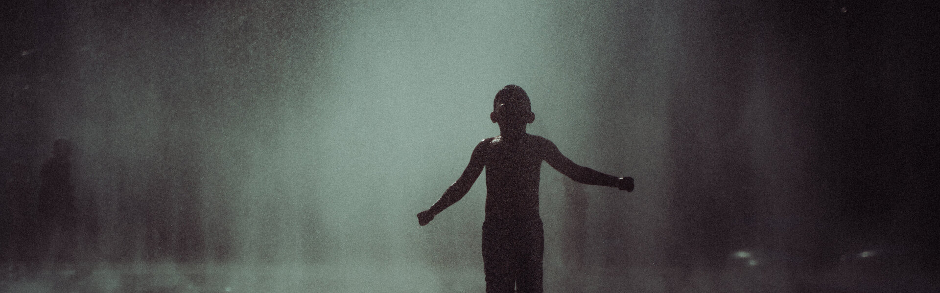 Julian Franz Kunst te koop