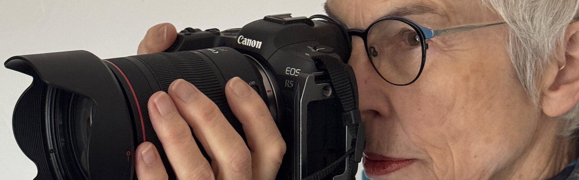 Kate Lloyd Kunst kaufen