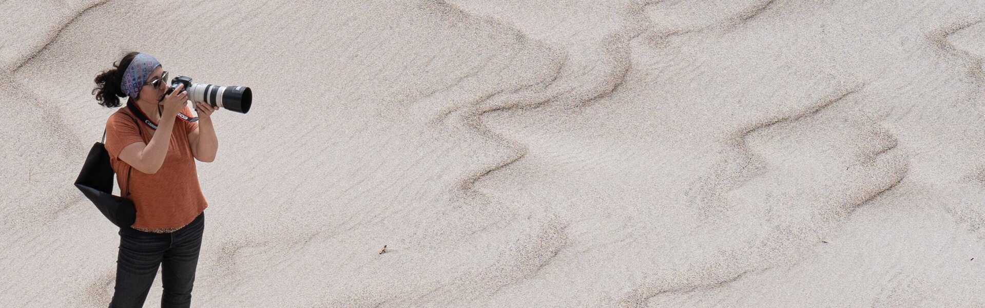 Claudia Ocanto Kunst kaufen