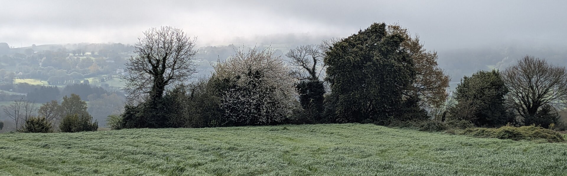 Zuzana Garlikova Art for Sale