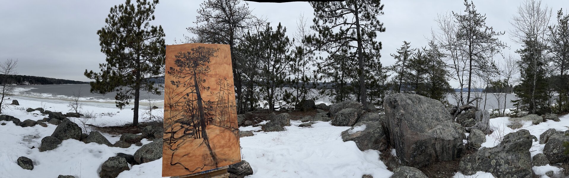 Sheila McGregor Art for Sale