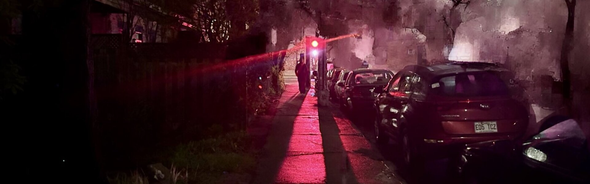 Bonobo Stone Opere d'arte in vendita