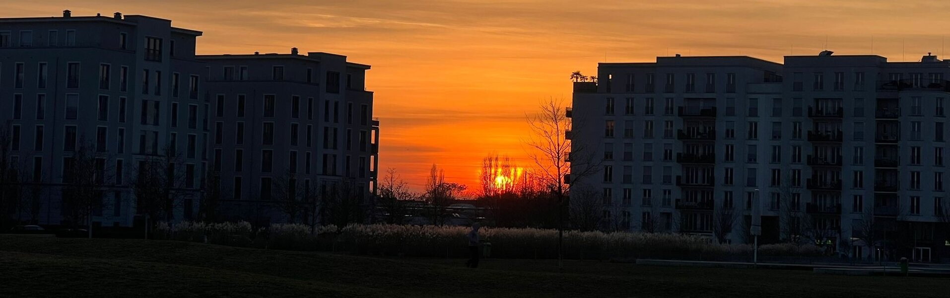 Ajdin Kajmovic Kunst te koop