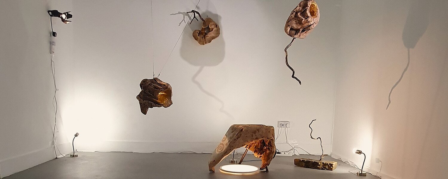 Nadya Hristakieva Kunst te koop