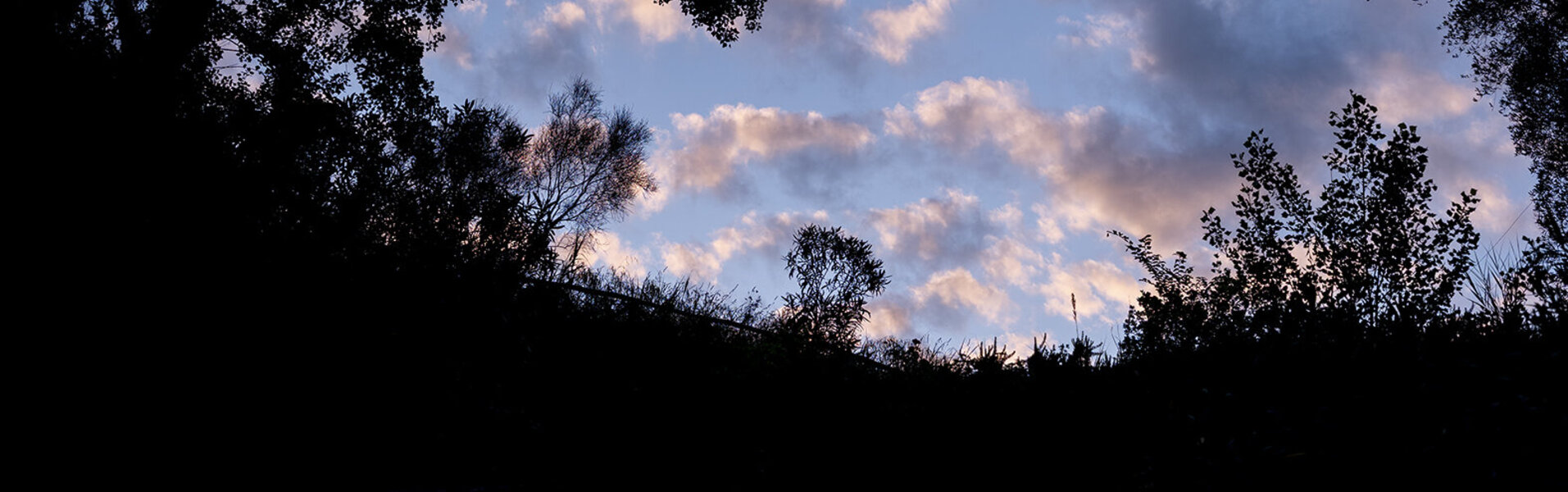 FABRIZIO INTONTI Kunst kaufen