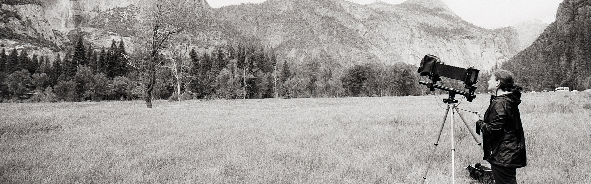 Gabriele Rothemann Art for Sale