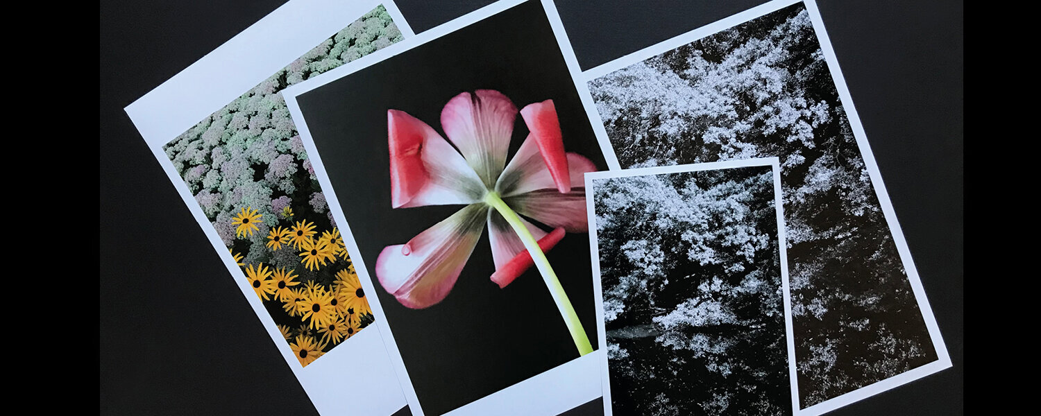 Maike Siever Art for Sale