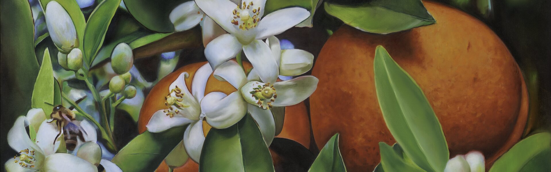 Szilvia Németh Kunst te koop