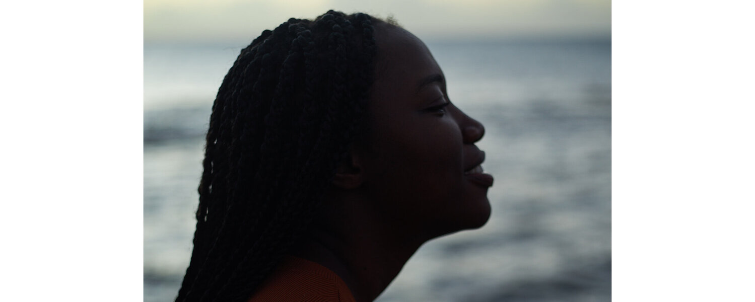 Salena Felicien Kunst te koop