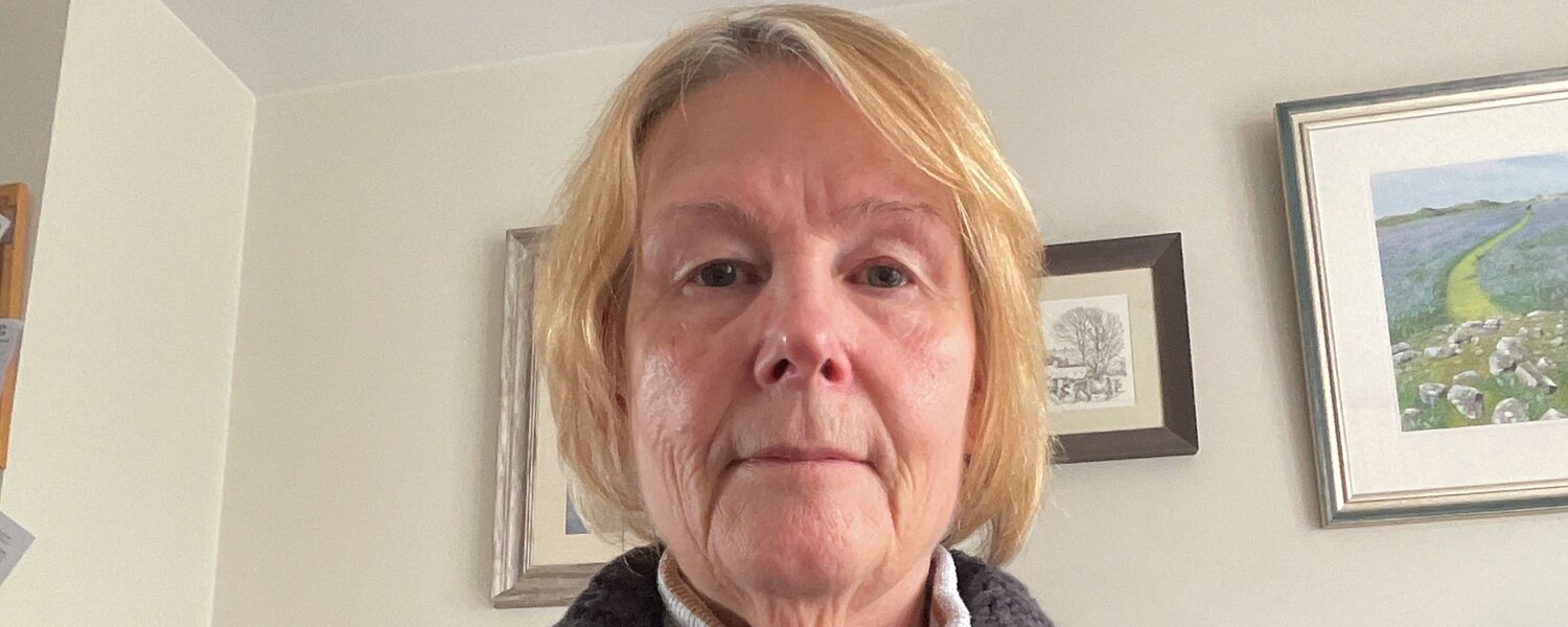 Fiona Jenkins Art for Sale