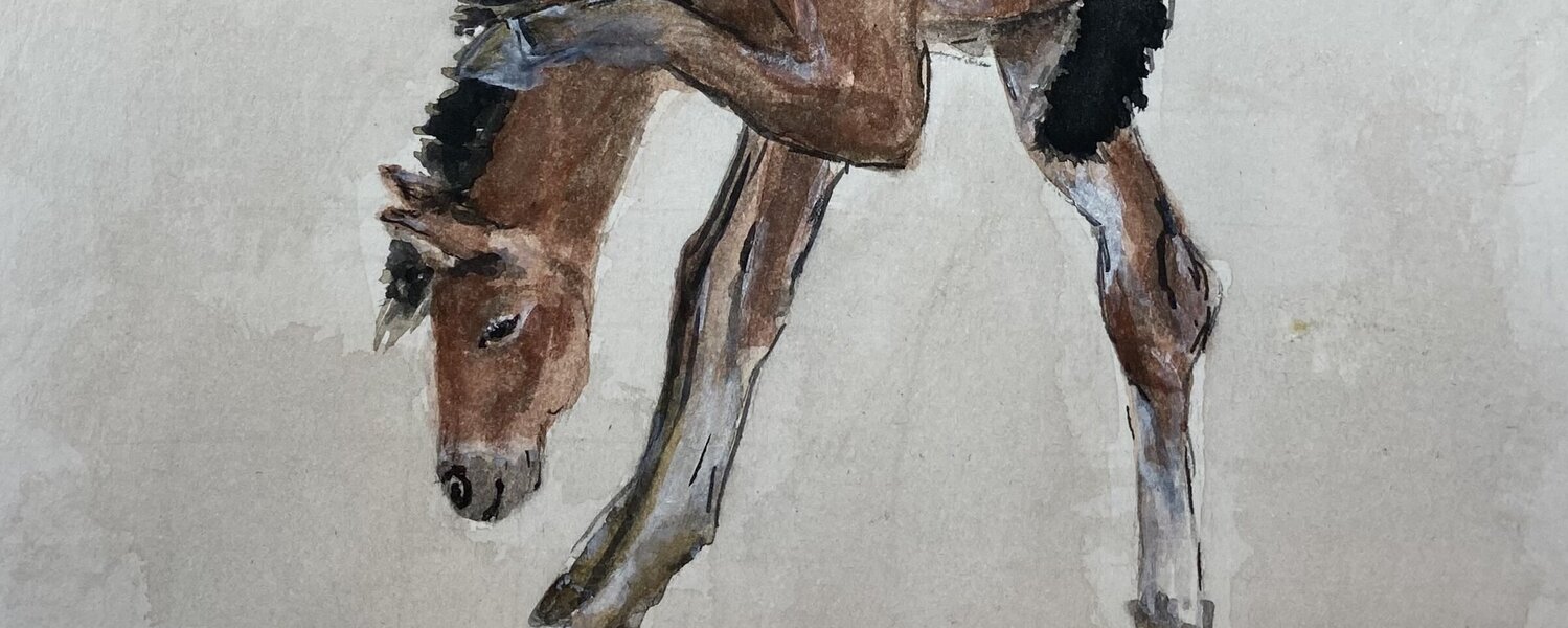 Elisabeth Hildensperger Art for Sale