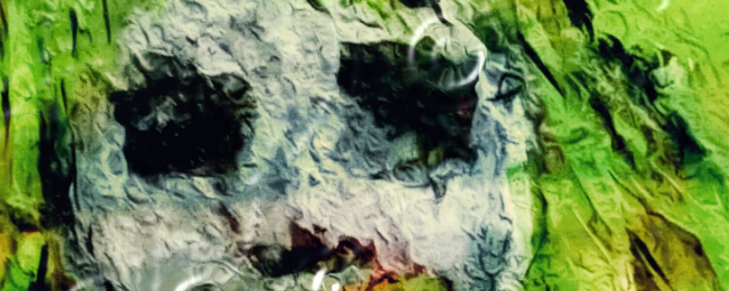 AMON VESELITS Art for Sale