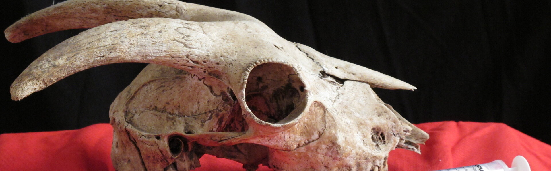 CARMEN RAMON CAMI Art for Sale