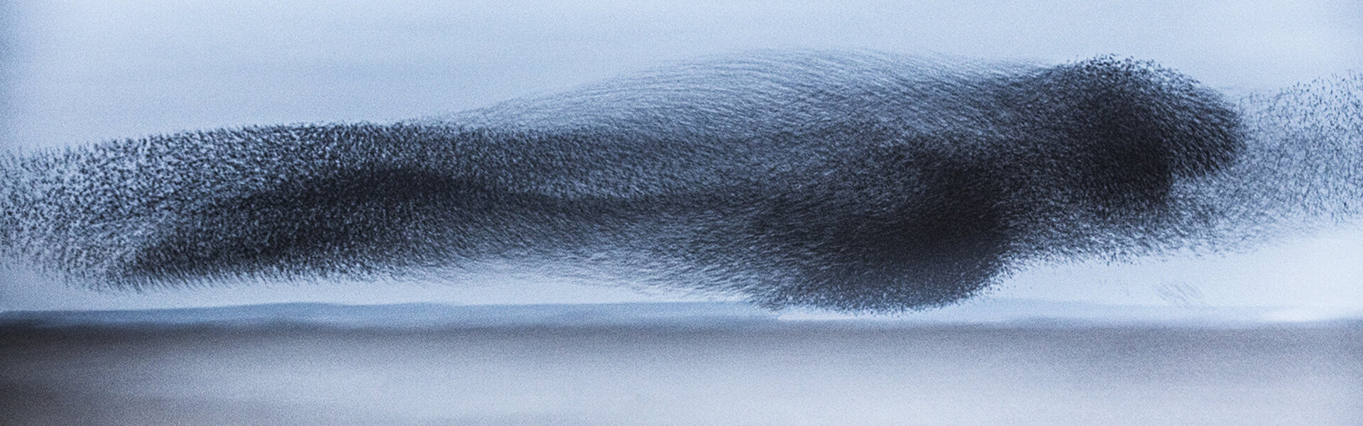 Erik Malm Art for Sale