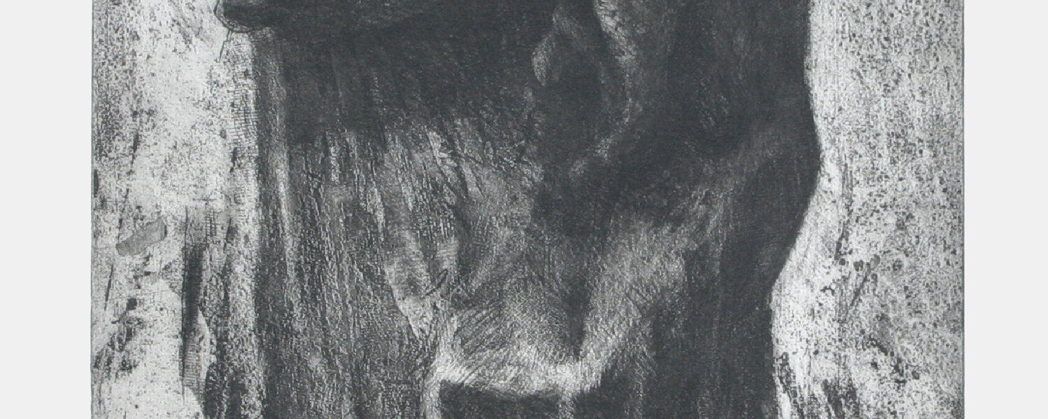 Reinhard Harz Art for Sale