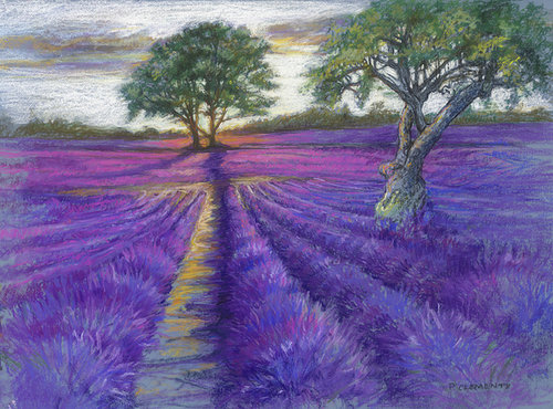 Sunsetting over English  Lavender  Fields von Patricia Clements, Werk auf Papier kaufen auf Singulart
