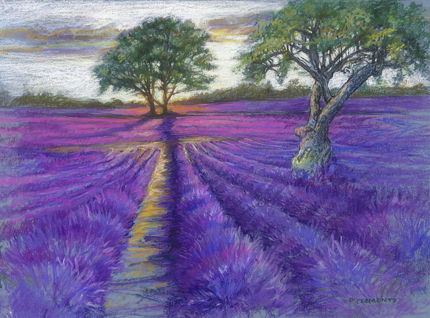 Sunsetting over English  Lavender  Fields Patricia Clements
