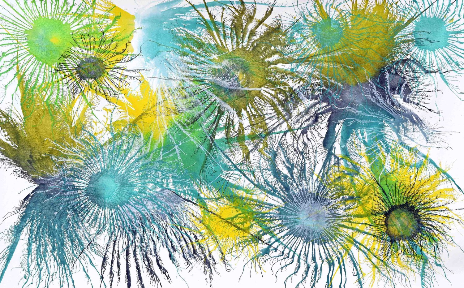Exploflora Series No. 18 Sumit Mehndiratta