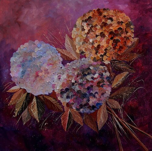 Hydrangeas 88 Pol Ledent