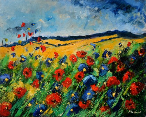 Red and blue poppies  54 van Pol Ledent, Schilderij te koop op Singulart