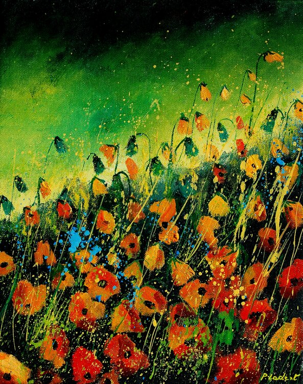 Orange poppies Pol Ledent