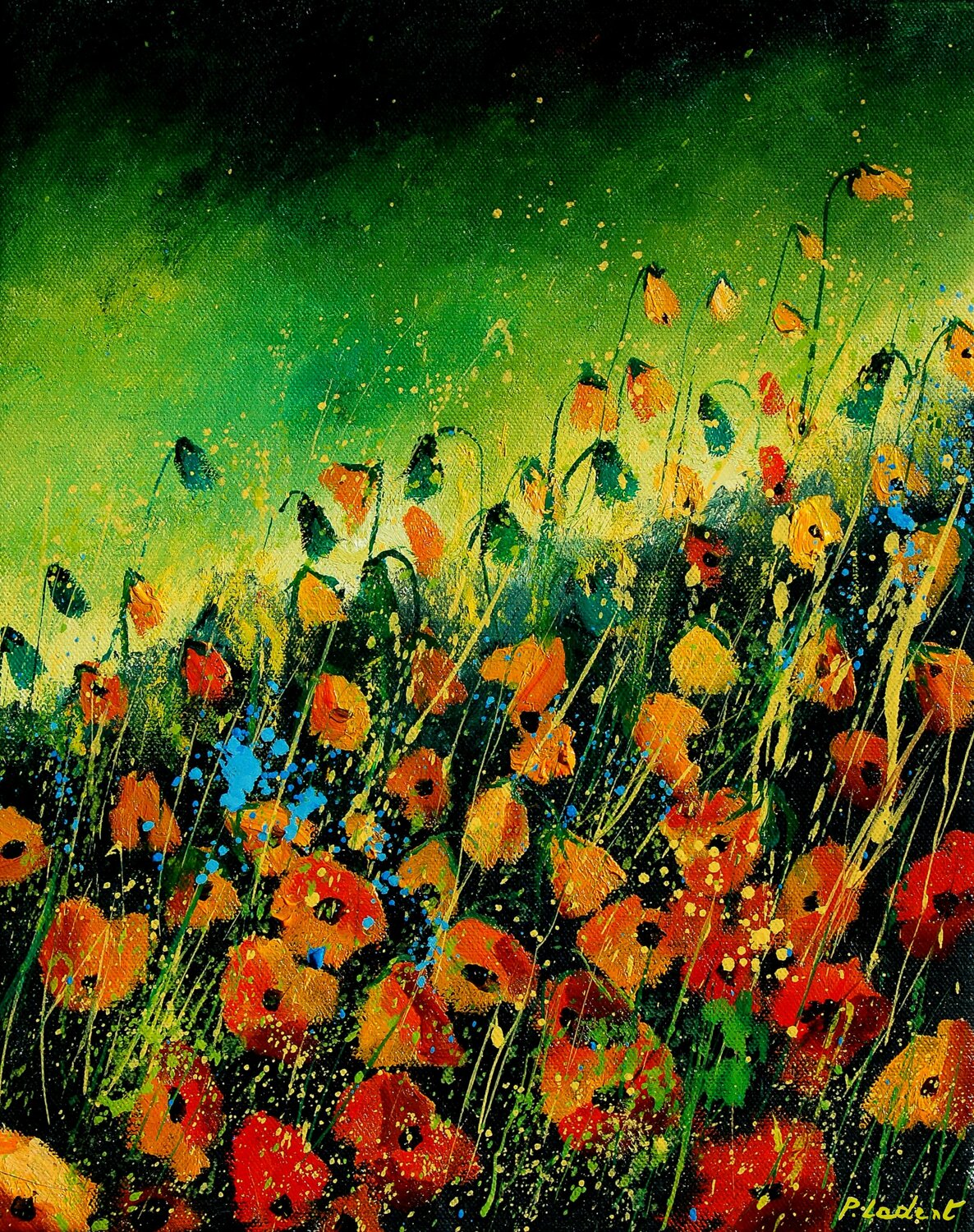 Orange poppies Pol Ledent