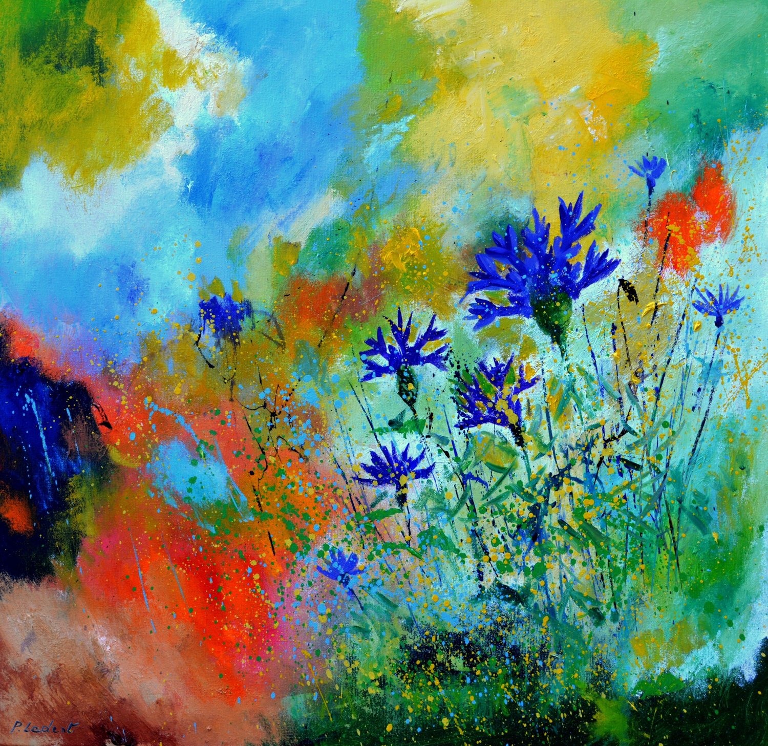 A few blue cornflowers Pol Ledent