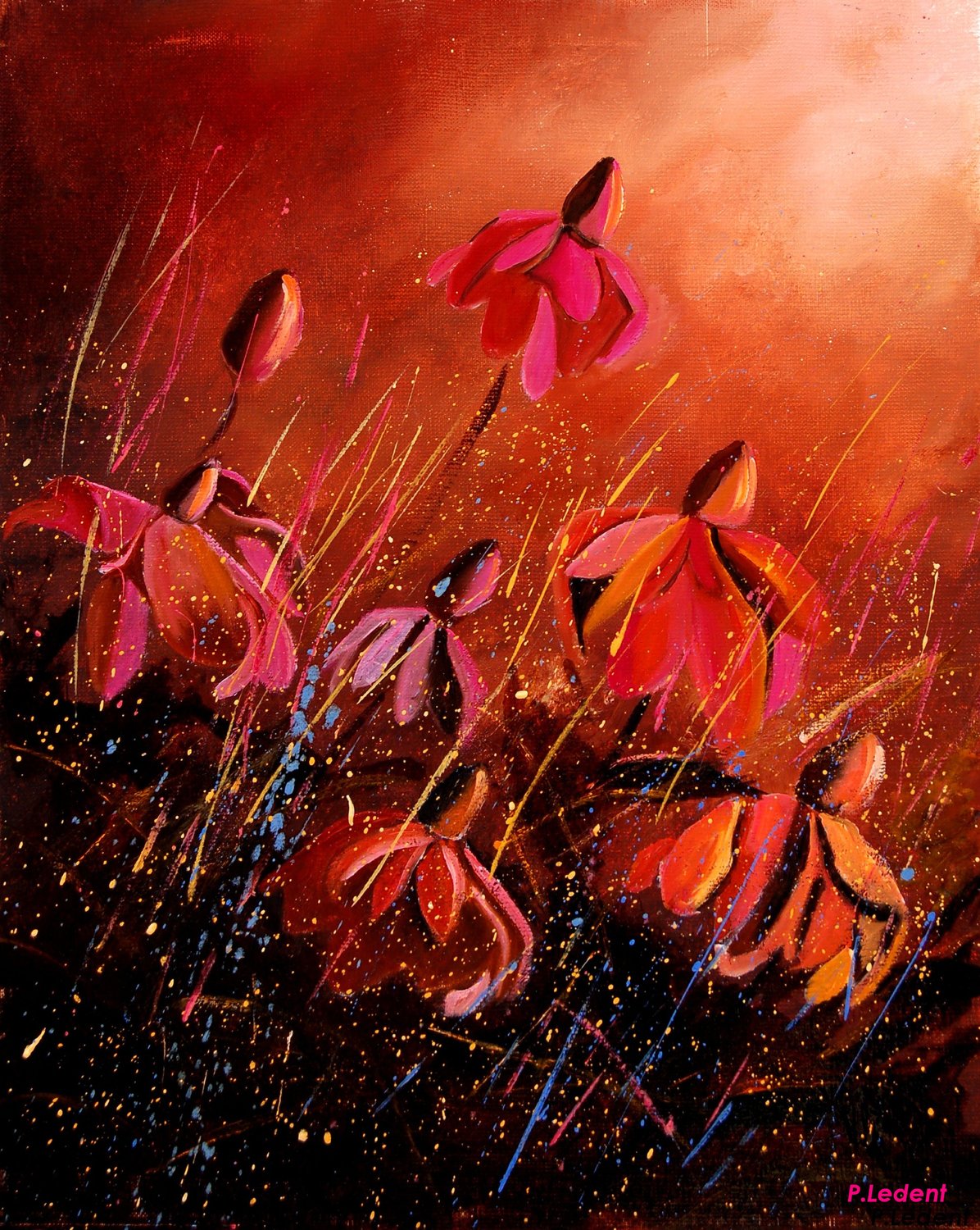 Rudbeckias  45 Pol Ledent