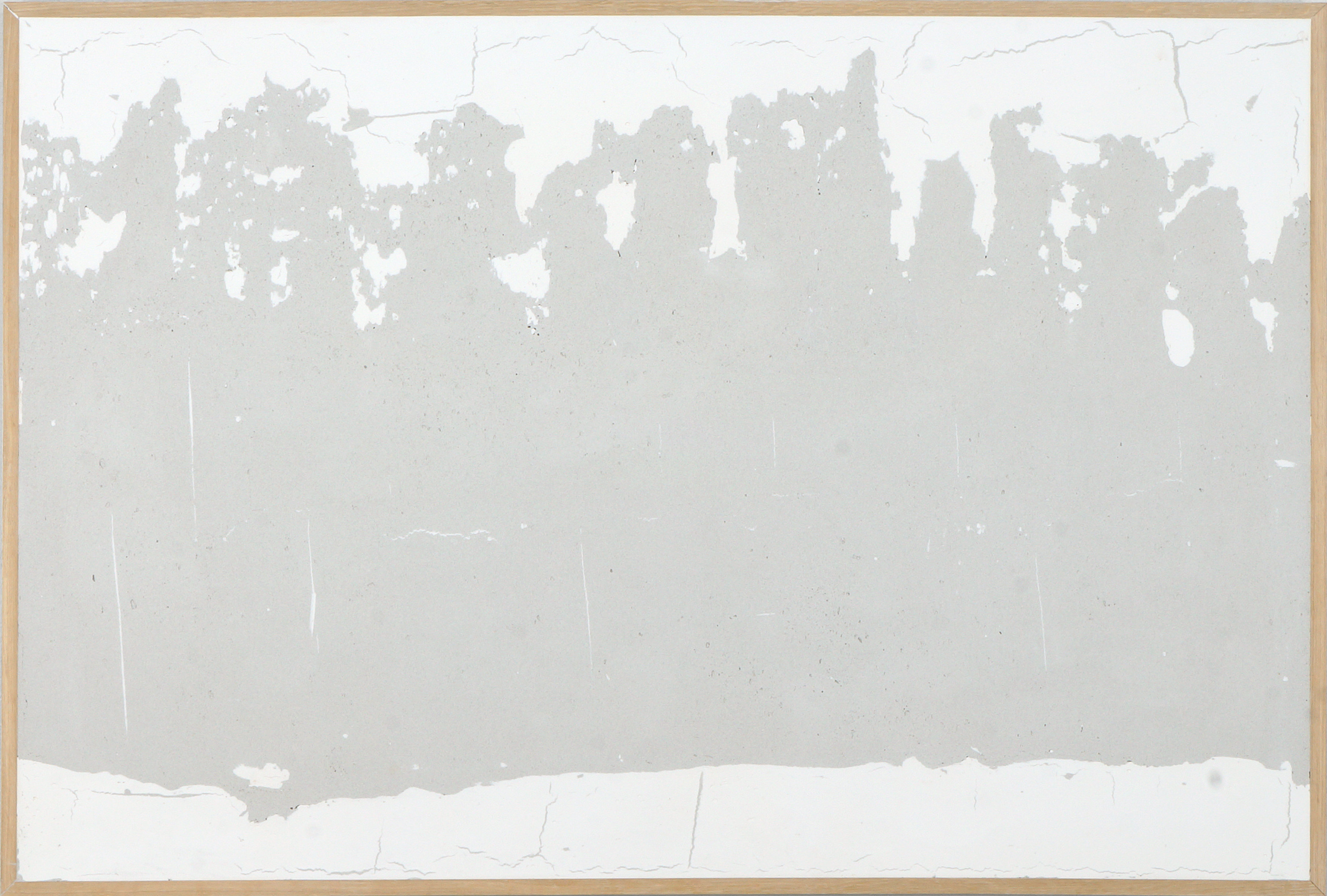 Sombras blancas