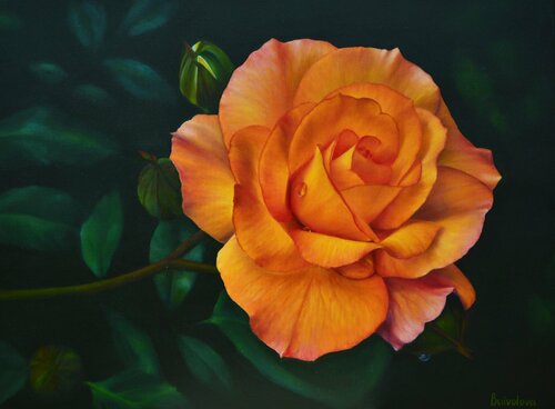 Flowers  painting Branch of orange rose de Iryna Buivolova, Pintura a la venta en Singulart